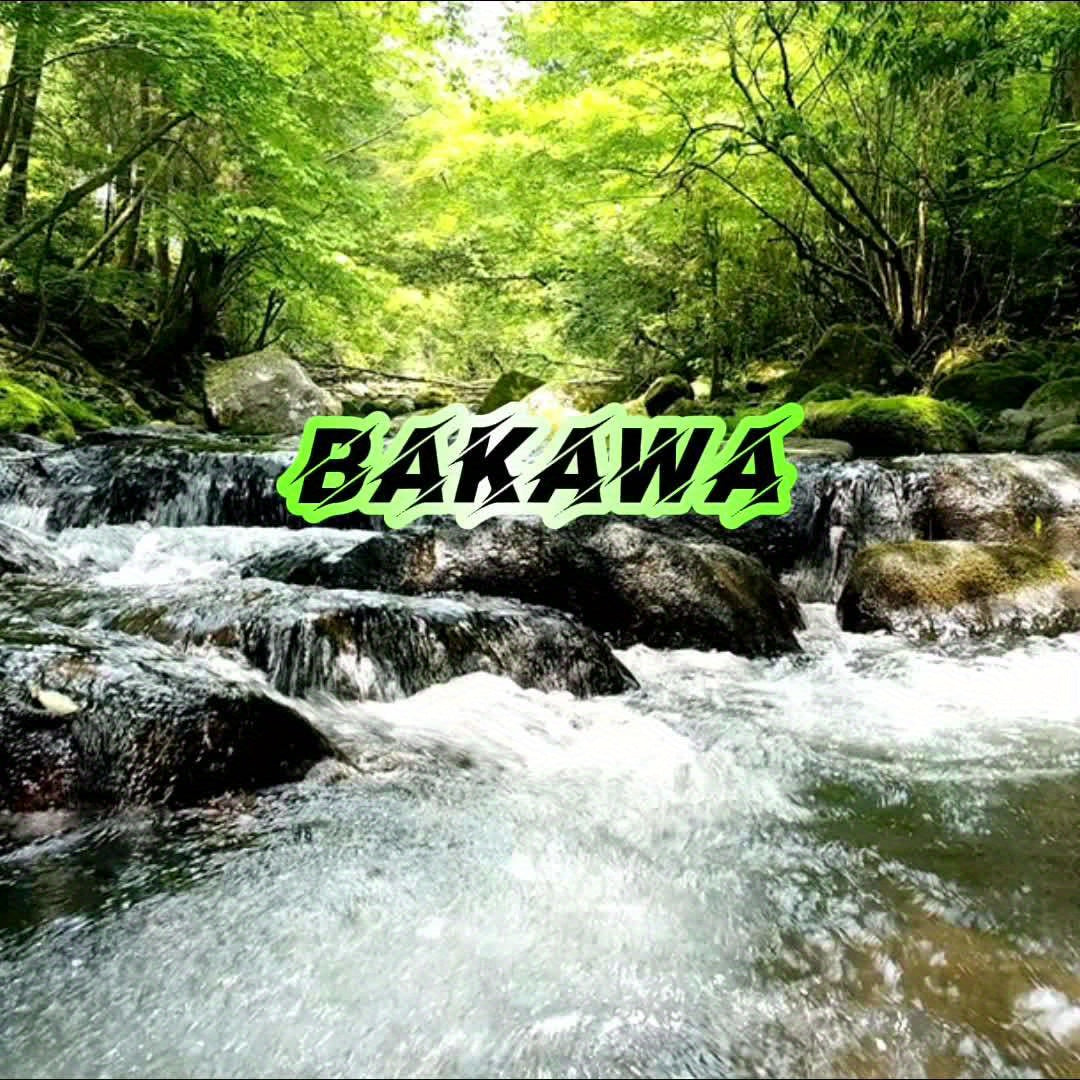 BAKAWA 12 Strands 500m/546yd Ultra-Smooth & Durable PE Braided Fishing Line - High-Vis Green/Yellow, Tangle-Free Design for Saltwater & Freshwater Fishing, Swivel & Line Weight System, Ideal for Carp, Bass, Trout, Sport Fishi